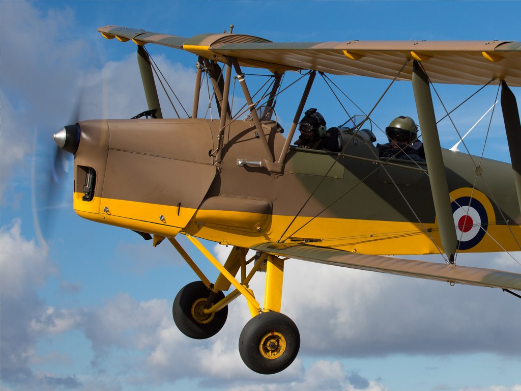 Tigermoth close proximity