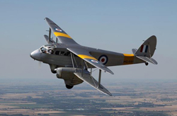 Dragon Rapide Flights