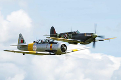 Spitfire and T6 Harvard